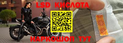 винт Камышлов