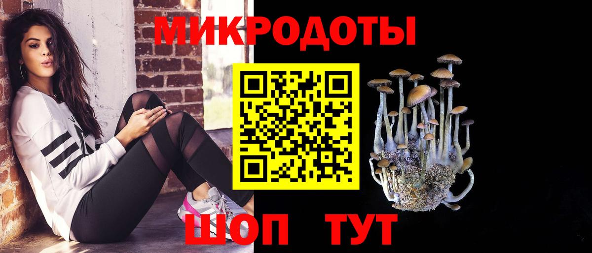 Галлюциногенные грибы мицелий Курчатов