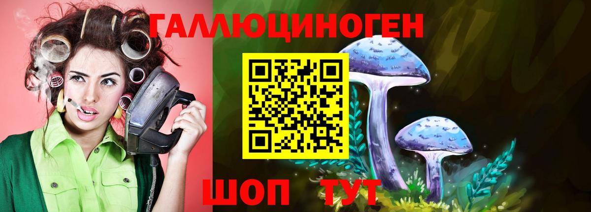 Галлюциногенные грибы мухоморы  Псилоцибиновые грибы GOLDEN TEACHER  Вход с VPN  Курчатов 